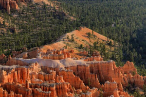Bryce canyon early morning