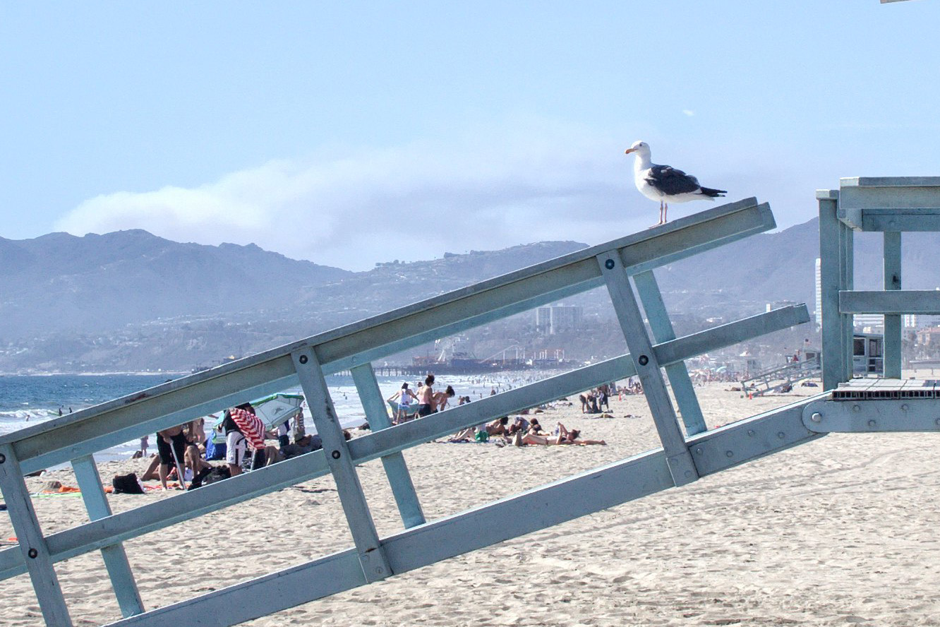 Detail2-USA-Karelphoto-0297-