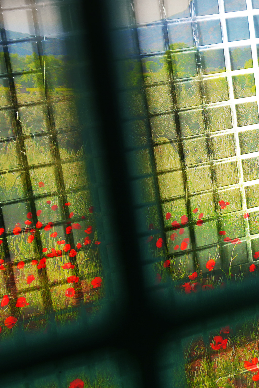 Freethenature-LaLiberte-Karelarts5_60x90_8842-detail2