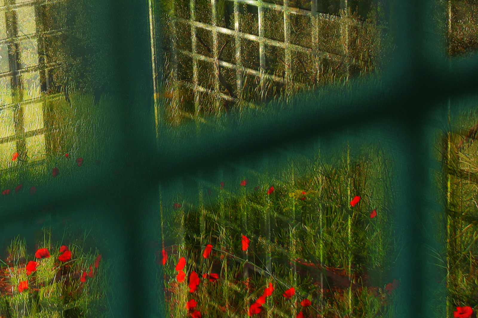 Freethenature-LaLiberte-Karelarts5_60x90_8842-detail3 Free the nature, NY