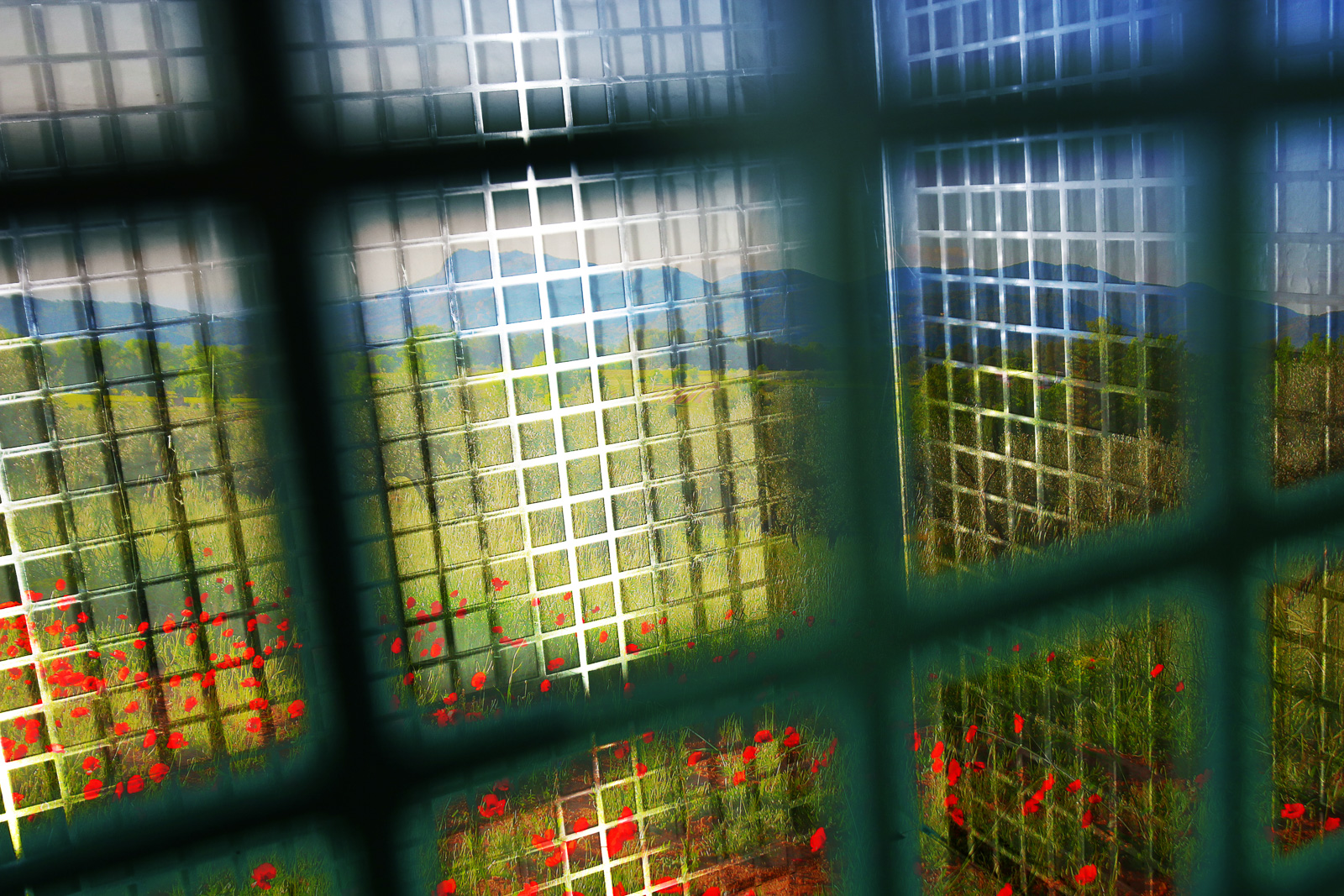 Freethenature-LaLiberte-Karelarts5_60x90_8842 Free the nature, NY