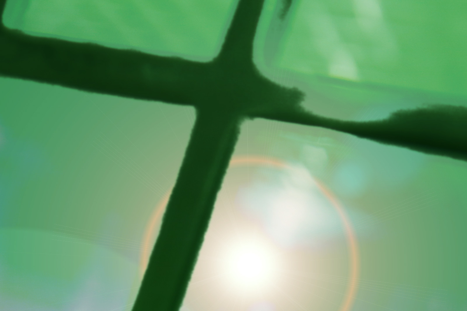 GreenLiberty-LaLiberte-Karelarts6_40x408845-2