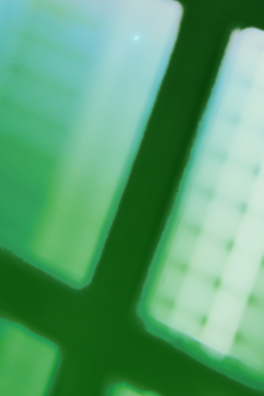 GreenLiberty-LaLiberte-Karelarts6_40x408845-3 Green liberty - la liberté, 2016