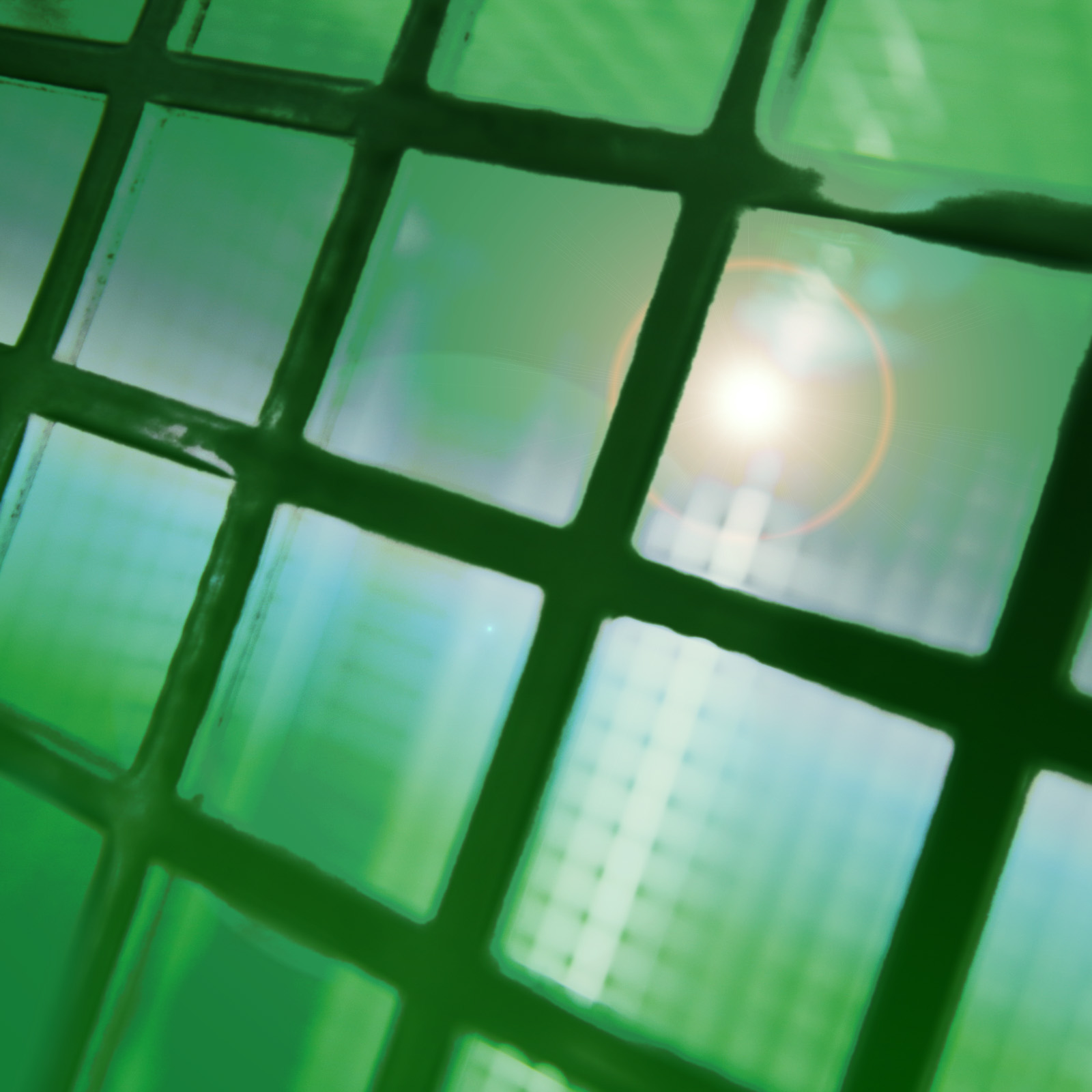 GreenLiberty-LaLiberte-Karelarts6_40x408845 Green liberty - la liberté, 2016