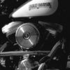 Harley Davidson, Heritage softail