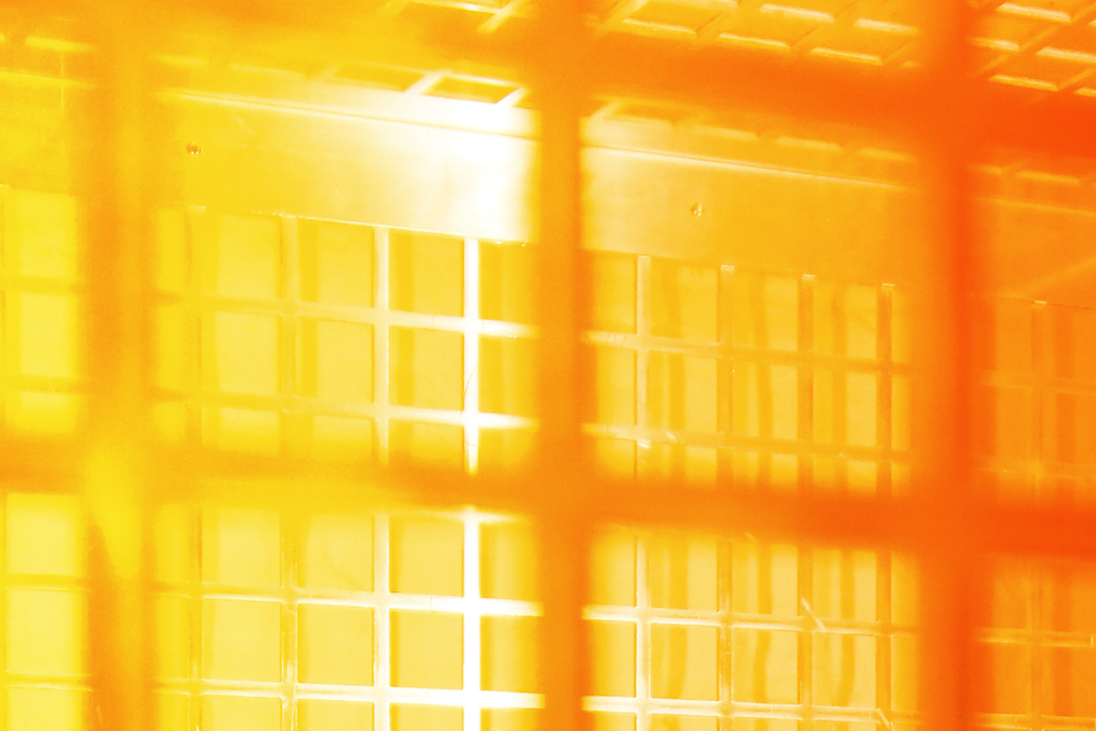 LaLiberte-Karelarts2_80x80_8827-2