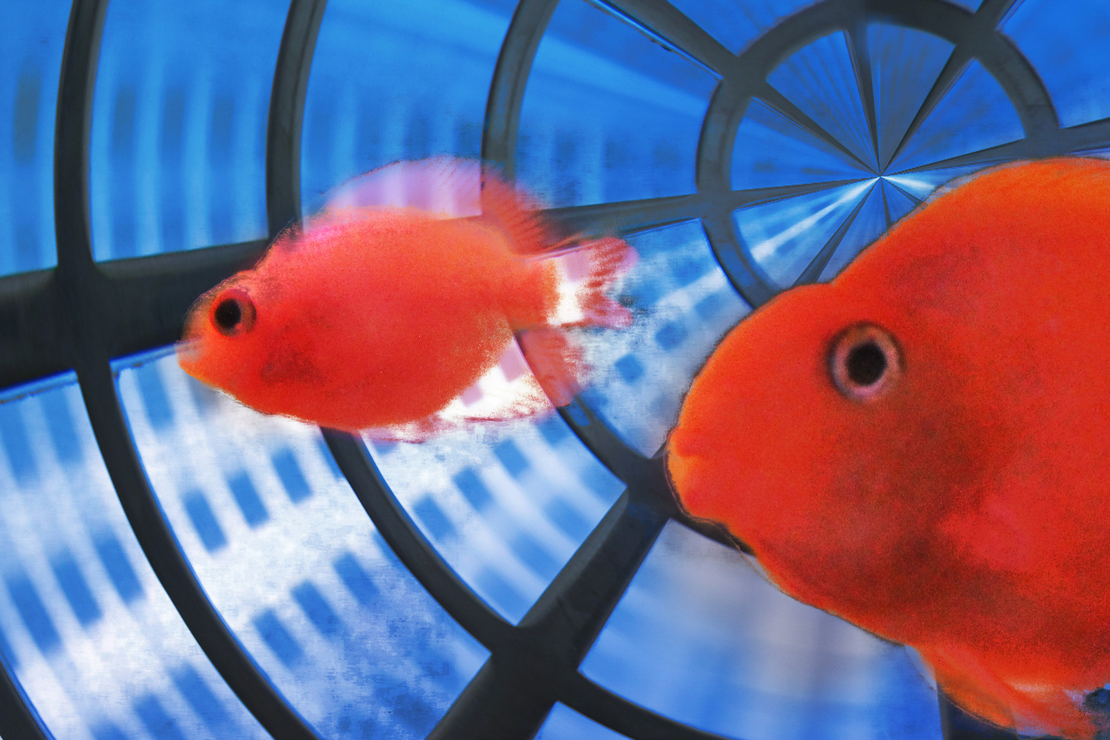 LaLiberte-Karelarts3_90x90_8830-2