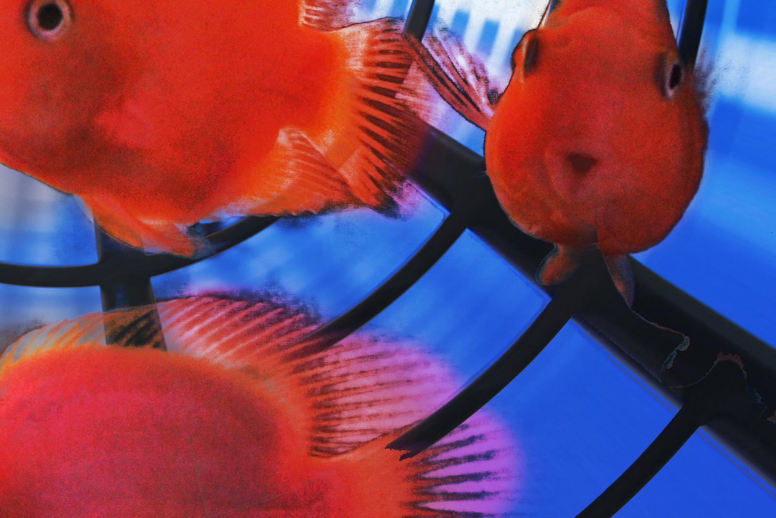 LaLiberte-Karelarts3_90x90_8830-3 La liberté, 2016