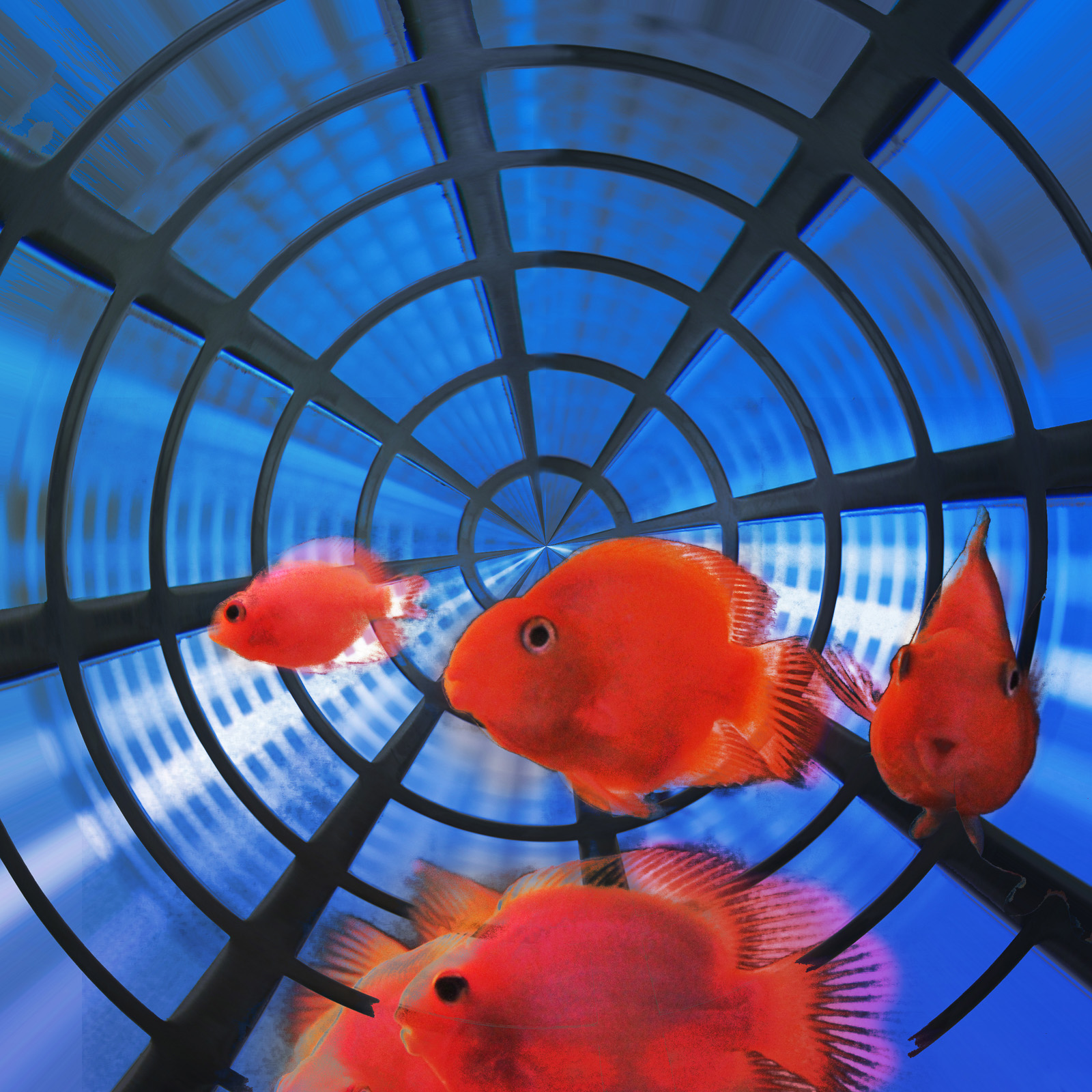 LaLiberte-Karelarts3_90x90_8830 La liberté, 2016