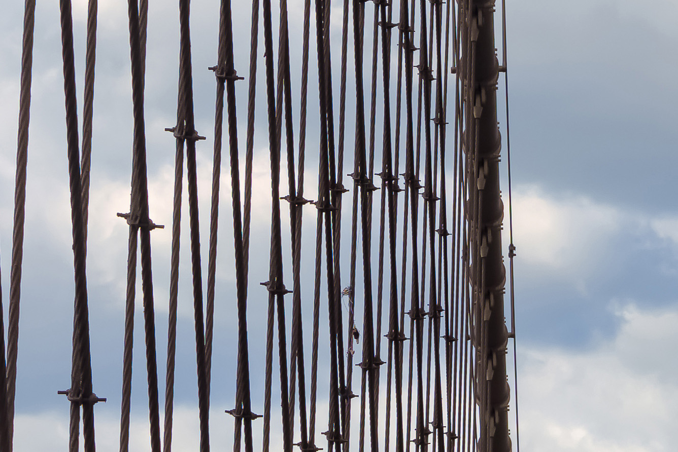 SansCrossing The Brooklyn bridge, New York, 2020 titre-5 Crossing The Brooklyn bridge, New York, 2020