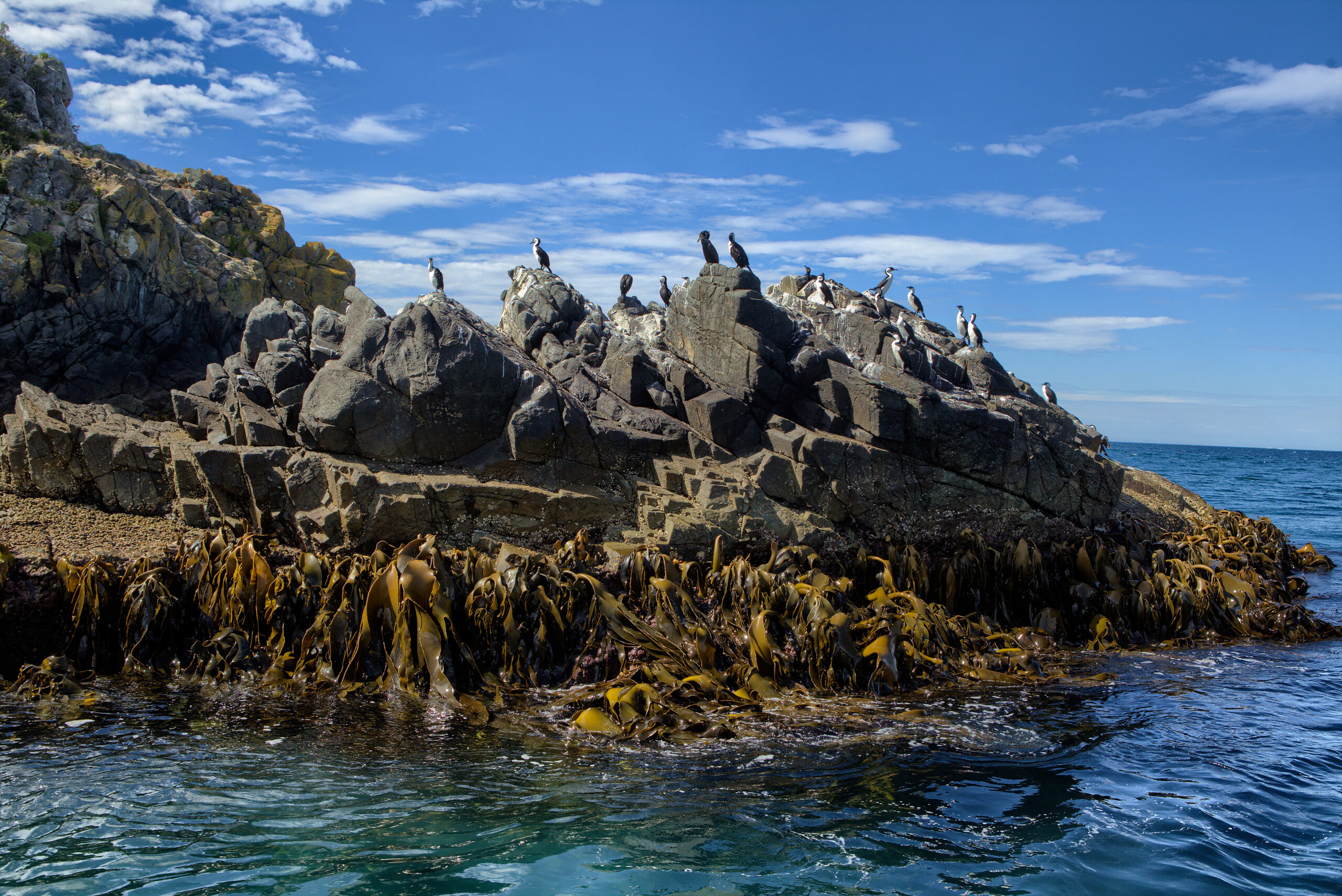 Off Bruni island, Tasmania