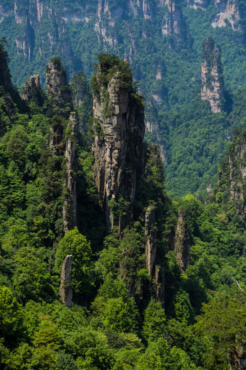 mountains of Zhangjiajie, hunan, China