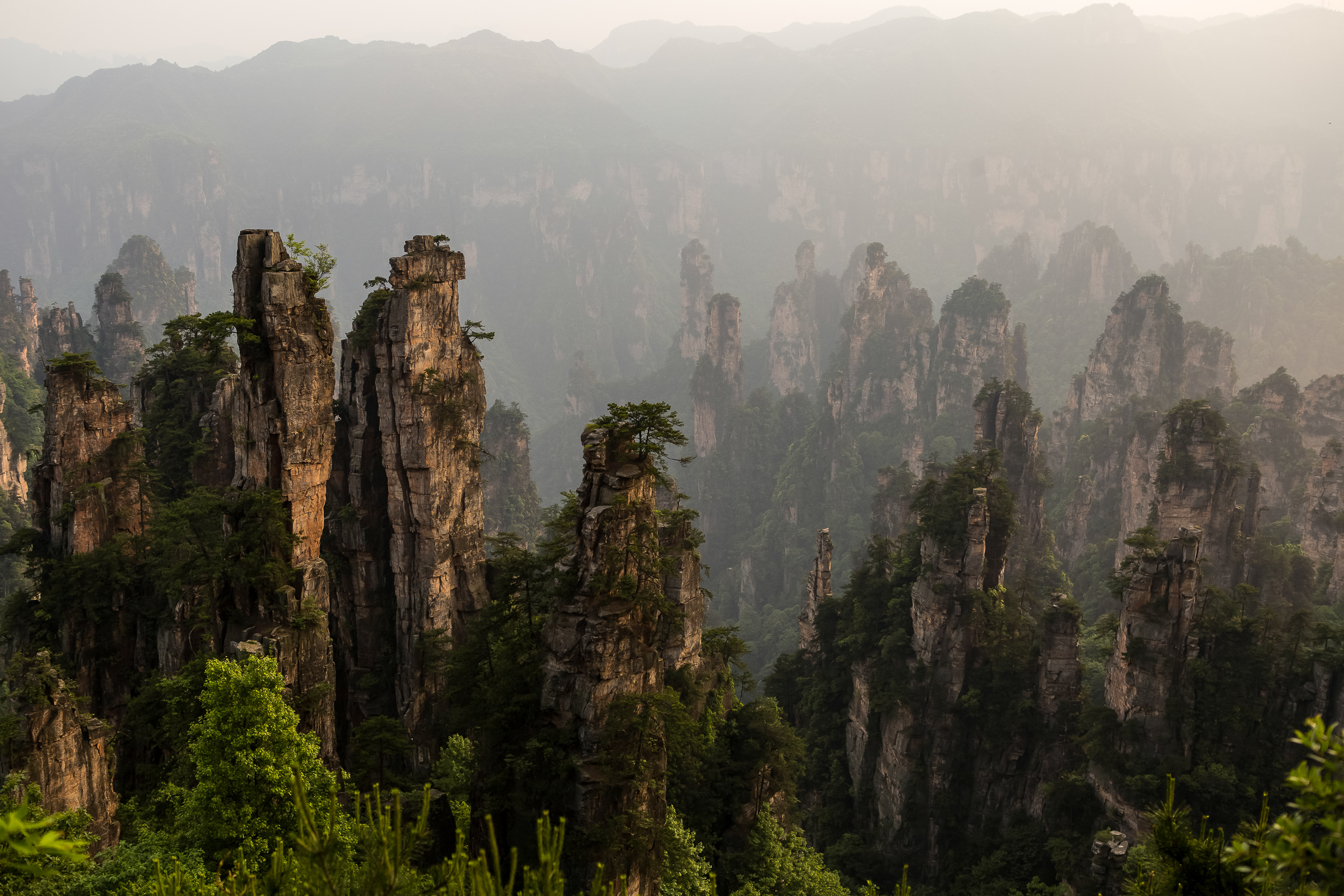 foggy pilar mountains of Zhangjiajie