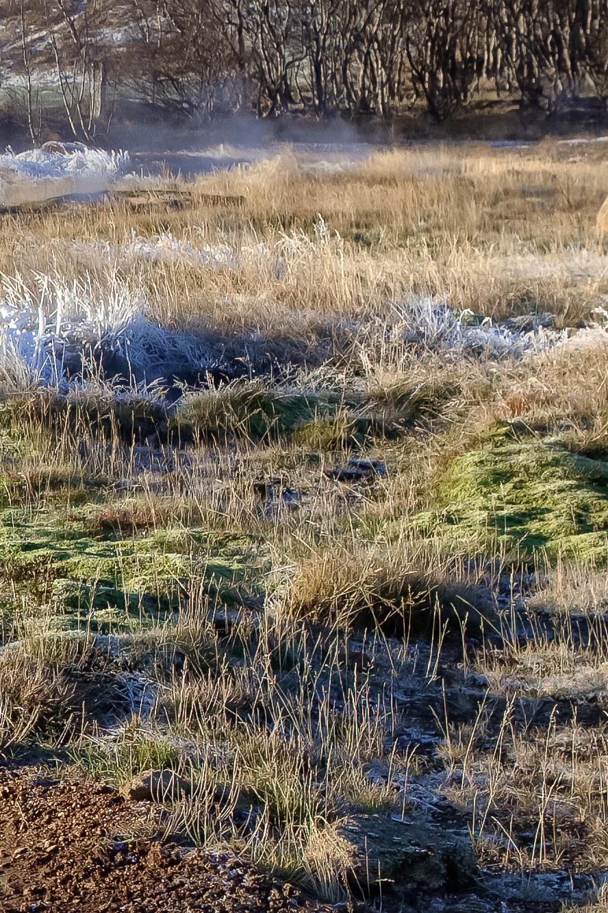 iceland-karelphoto-6126-4 Icelandic lanscapes, Iceland, 2018