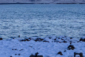 Snowy landscapes, Iceland, 2018