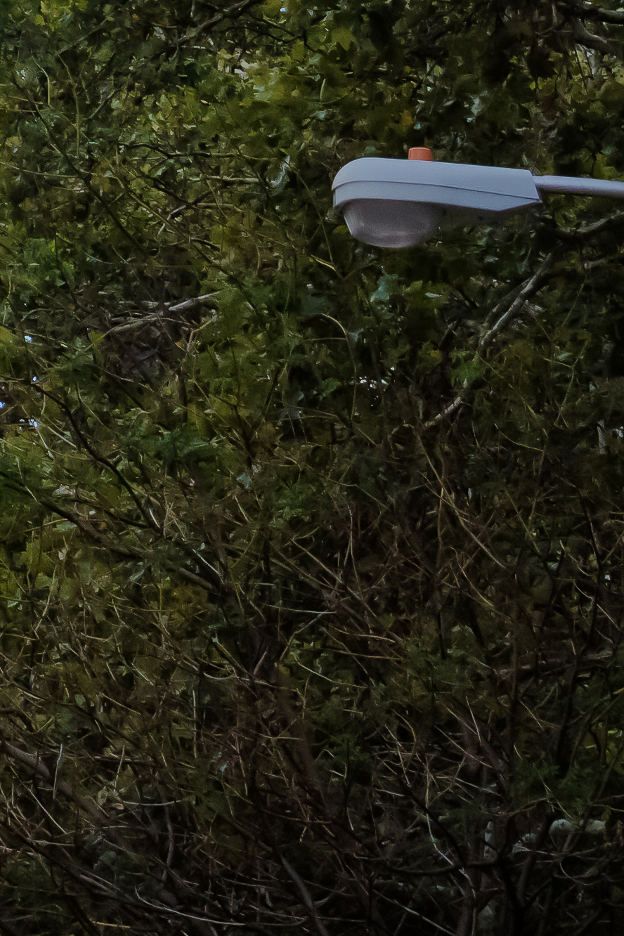 ny-usa-0021-3 Empire state building