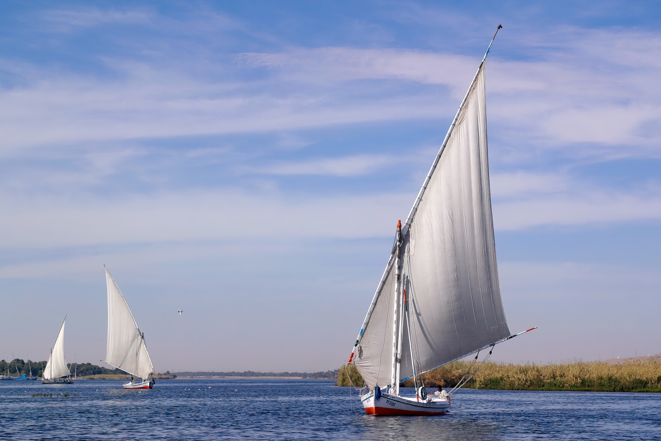 Felhouk on the Nil river, Egypte
