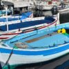 mediterranean fishing boat "pointu"