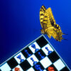 Chess butterfly effect