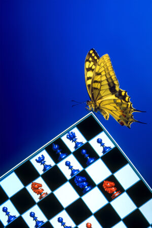 Chess butterfly effect