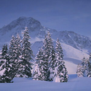 Snowy mountains, Alps